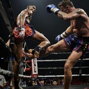 Online expert in Muay Thai